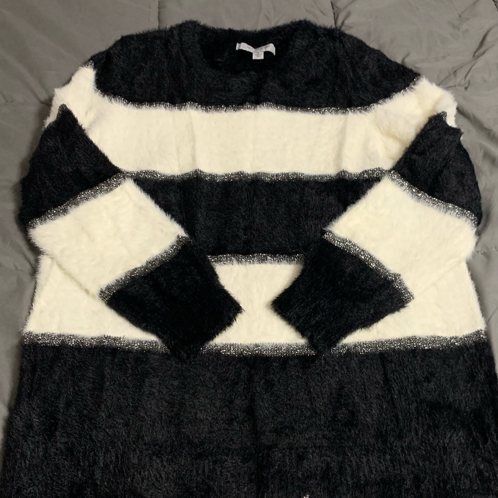 Fancy sweatshirt!
